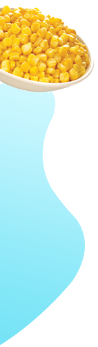 product-details-right